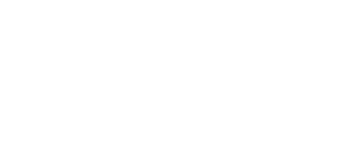 WordPress VIP