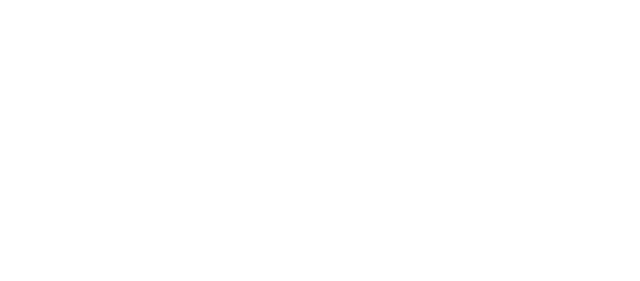 WordPress VIP