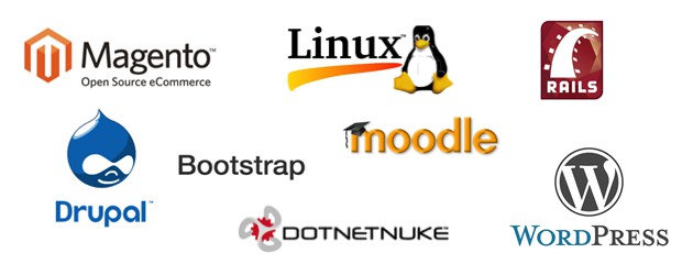 A few favourite third-party services - Ruby on Rails, Bootstrap, moodle, DotNetNuke, WordPress