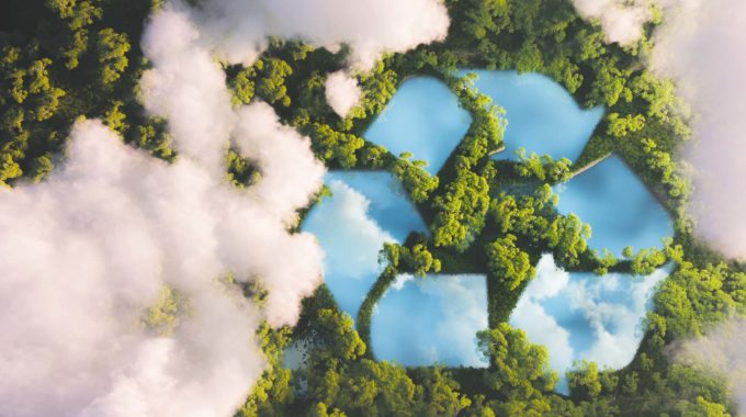 New WordPress Website for letsrecycle