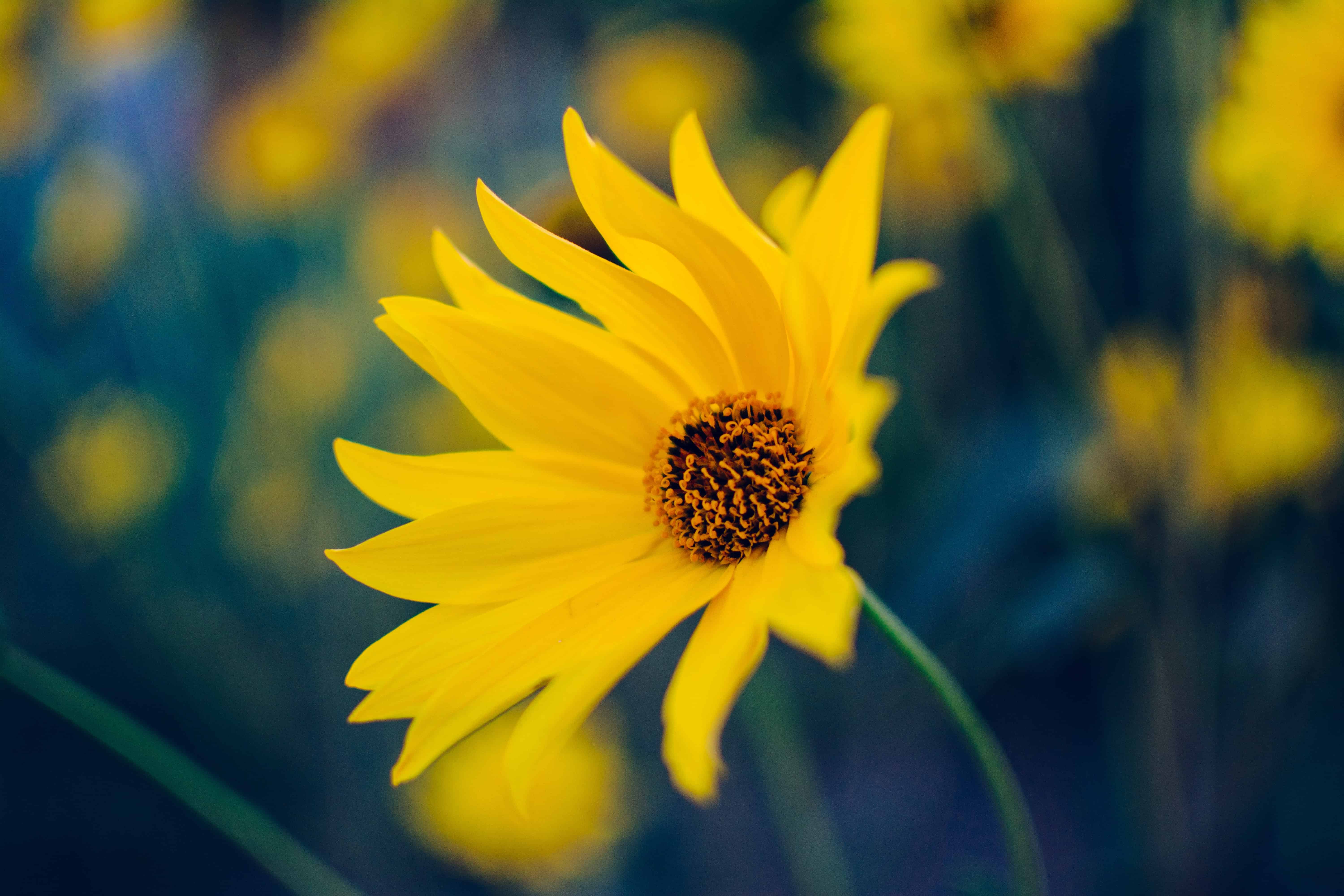How To Spring Clean Your WordPress Website