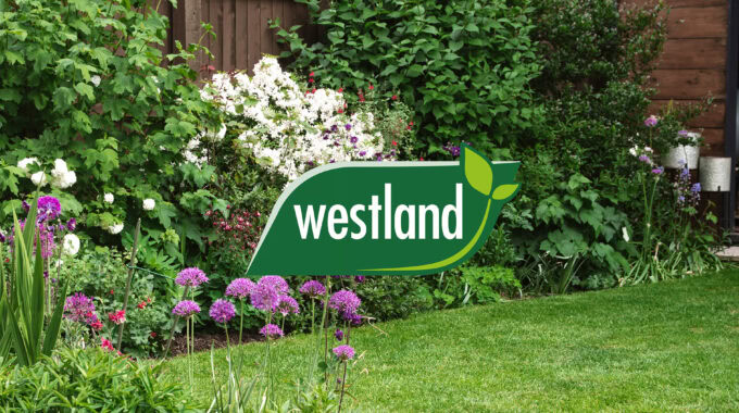 Case Study: Helping Westland Achieve Their Marketing Objectives