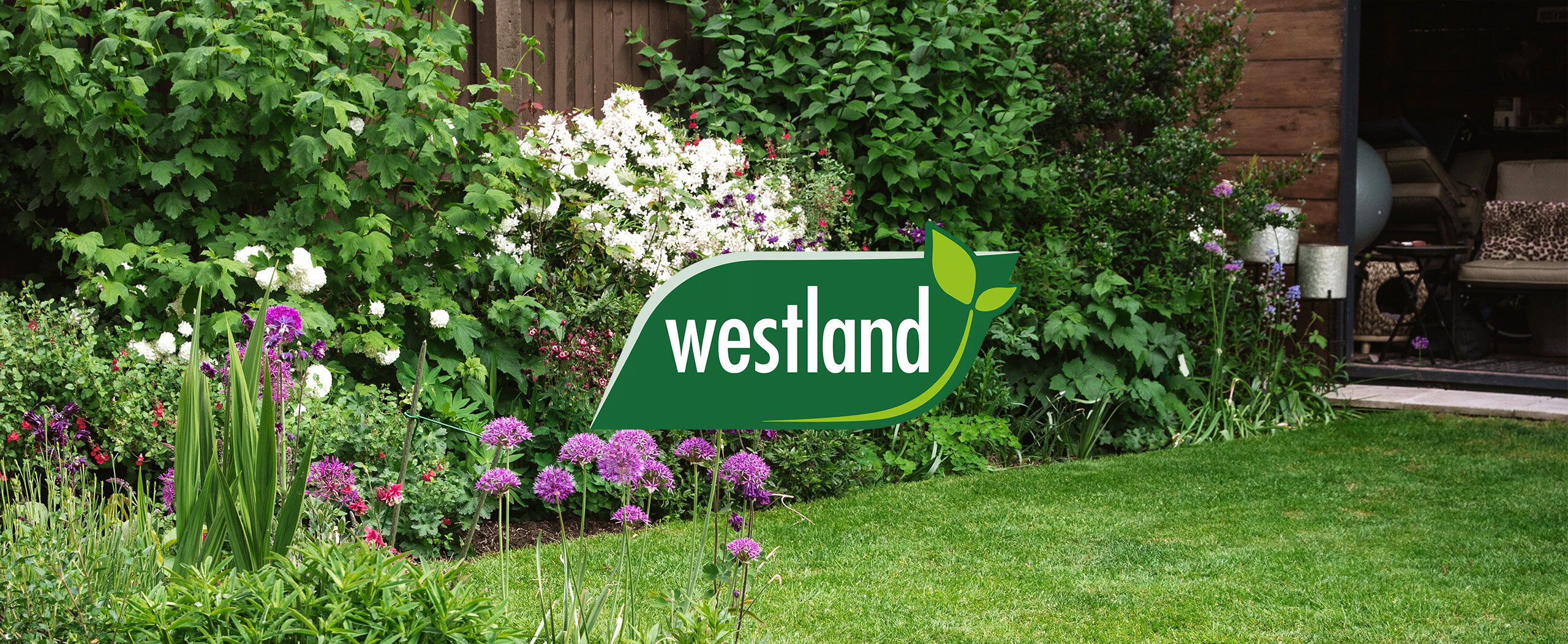 Case Study: Helping Westland Achieve Their Marketing Objectives