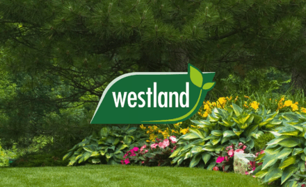 We work with some of the biggest brands to deliver meaningful results