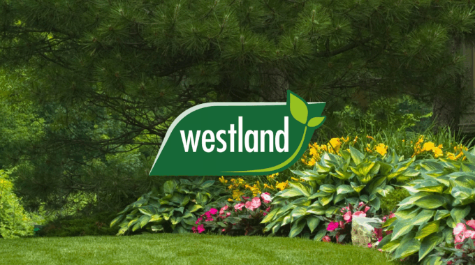 westland wordpress site